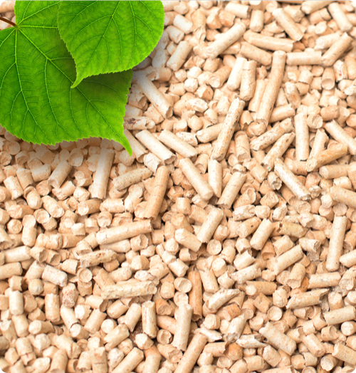 Pellets mit Blatt